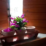 Apartman Salvezani *