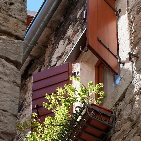 Salvezani سبليت